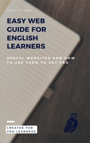 Easy Web Guide